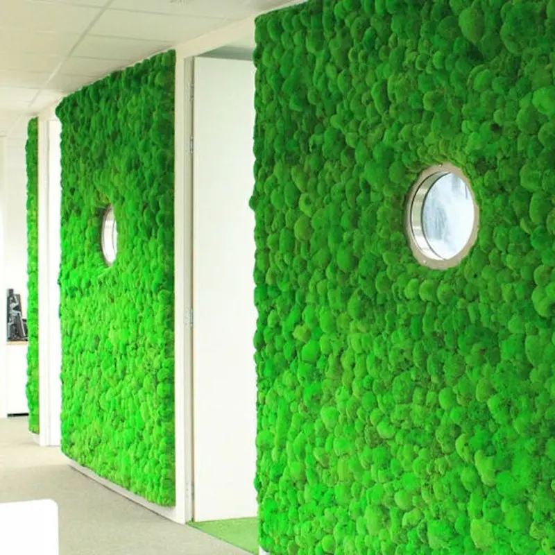 Moss-panels-with-portholes